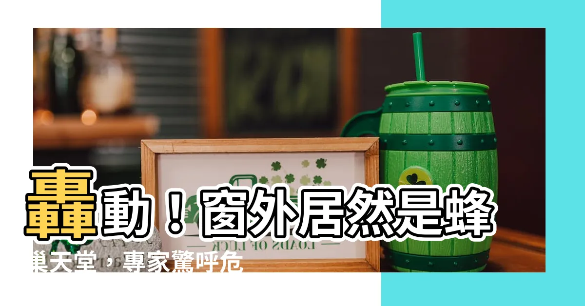 【窗外有蜂巢】轟動！窗外居然是蜂巢天堂，專家驚呼危險性超乎你的想像！