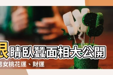 【眼睛卧蠶面相】眼睛卧蠶面相大公開！男女桃花運、財運一次窺探！