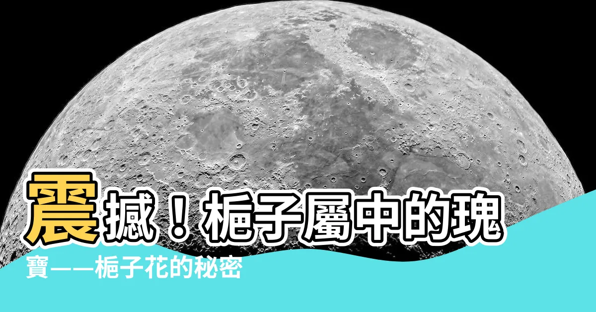 【梔子屬】震撼！梔子屬中的瑰寶——梔子花的秘密大揭露！