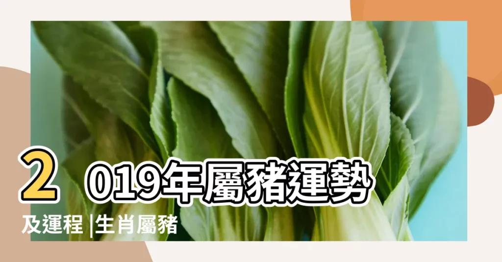 2019年屬豬運勢及運程 |生肖屬豬的人2019年運勢如何 |屬豬人2019年運勢 |【屬豬人2019年運勢免費】