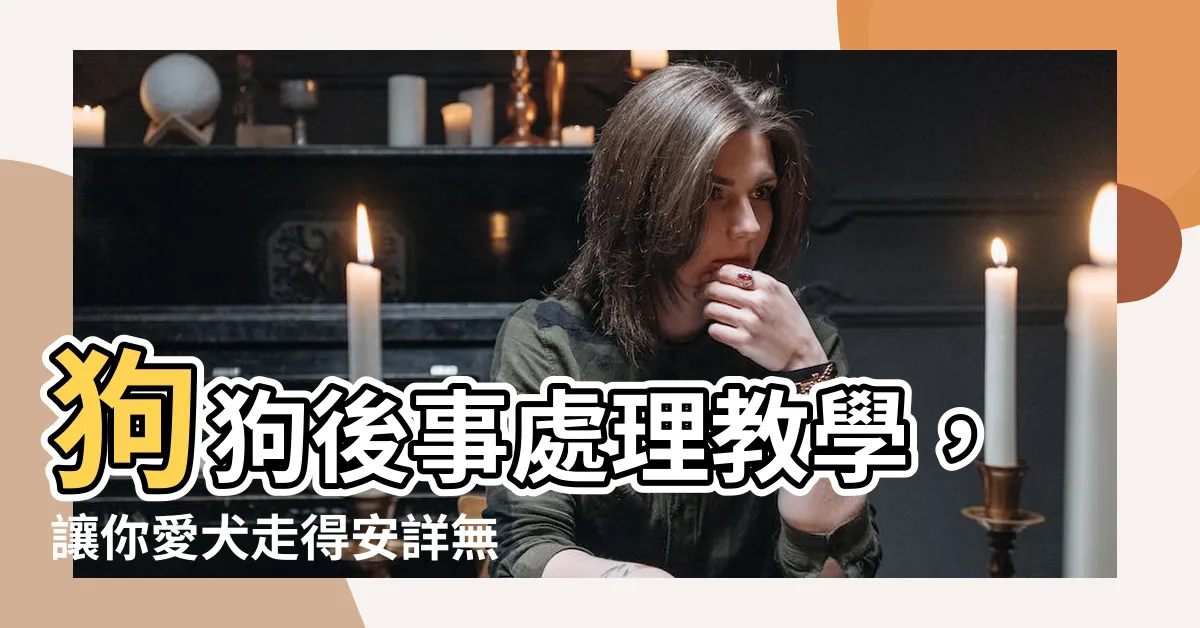 【狗狗後事】狗狗後事處理教學，讓你愛犬走得安詳無遺憾