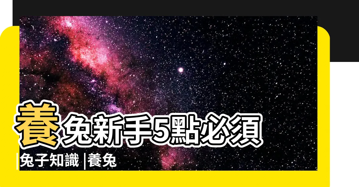 【養兔子禁忌】養兔新手5點必須 |兔子知識 |養兔子絕對要避免的10件事 |