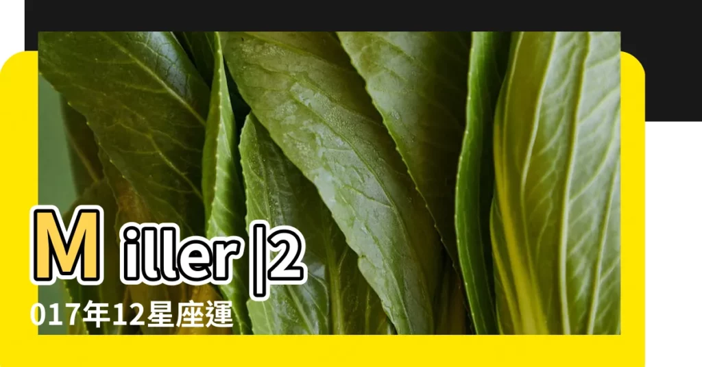 Miller |2017年12星座運勢指南 |Susan |【蘇刪米勒2017年運勢】