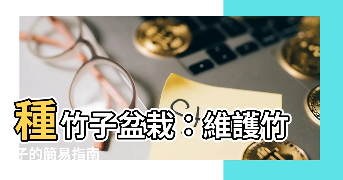 【種竹子盆栽】種竹子盆栽：維護竹子的簡易指南