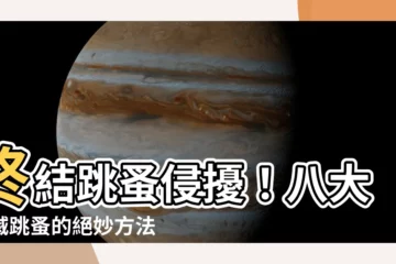 【消滅跳蚤的方法】終結跳蚤侵擾！八大消滅跳蚤的絕妙方法