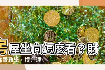 【房屋坐向怎麼看】房屋坐向怎麼看？財位佈置教學，提升運勢不求人！