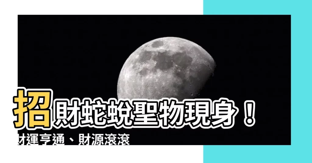 【蛇蜕招財】招財蛇蜕聖物現身！財運亨通、財源滾滾等你來