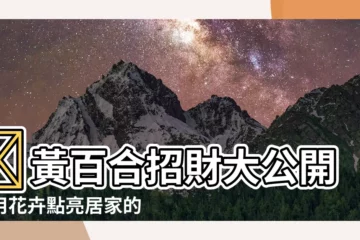 【黃百合招財】✨黃百合招財大公開！用花卉點亮居家的財運🌟