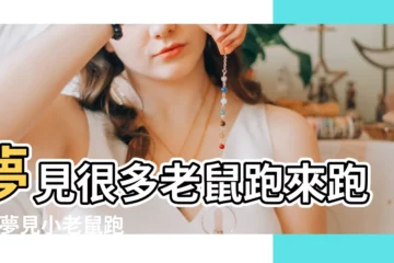 【夢見一羣老鼠跑來跑去】夢見很多老鼠跑來跑去 |夢見小老鼠跑來跑去 |夢到一羣老鼠跑出來是什麼意思 |