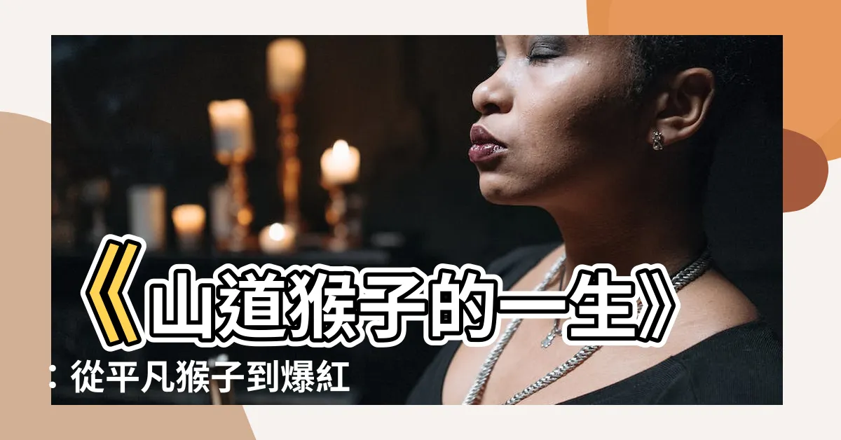 【山到猴的一生】《山道猴子的一生》：從平凡猴子到爆紅現象！