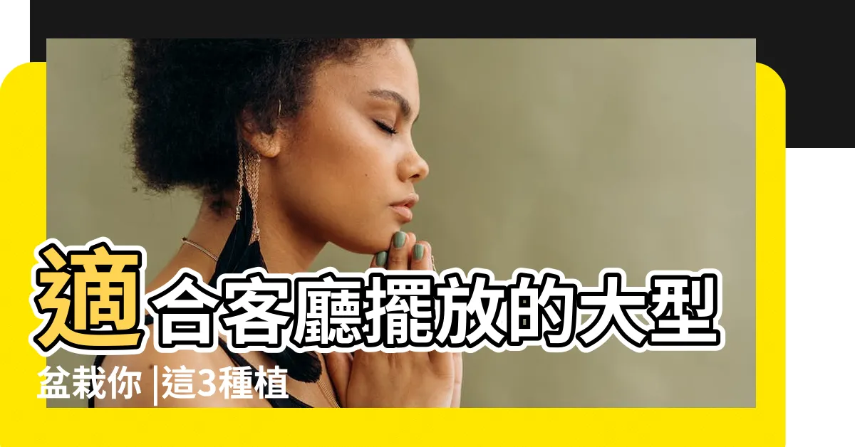 【適合客廳的盆栽】適合客廳擺放的大型盆栽你 |這3種植物擺客廳 |就用綠植壯大氣場 |