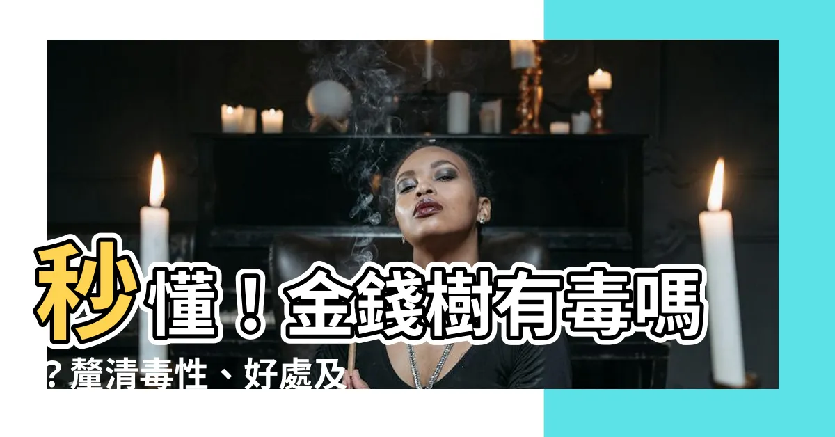 【金錢樹有毒嗎】秒懂！金錢樹有毒嗎？釐清毒性、好處及注意事項