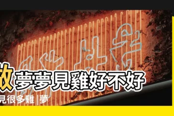 【周公解夢 夢到許多雞】做夢夢見雞好不好 |夢見很多雞 |夢見很多雞 |