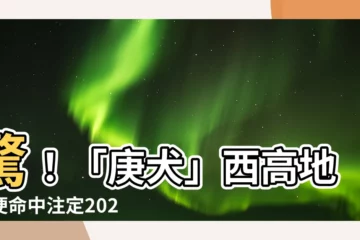 【庚犬】驚！「庚犬」西高地白㹴命中註定2023年好運爆棚