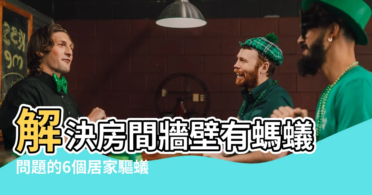 【房間牆壁有螞蟻】解決房間牆壁有螞蟻問題的6個居家驅蟻法