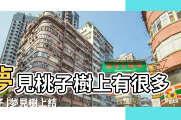 【夢見樹上黃桃子】夢見桃子樹上有很多桃子 |夢見樹上結滿桃子 |