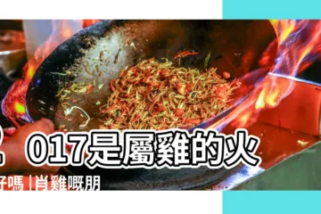 【2017屬雞命多少錢】2017是屬雞的火命好嗎 |肖雞嘅朋友 |在2017年12月哪一天生日最好 |