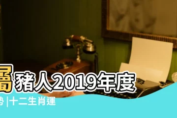 【屬豬的人在2o19年運勢】屬豬人2019年度運勢 |十二生肖運程 |麥玲玲講2019 |