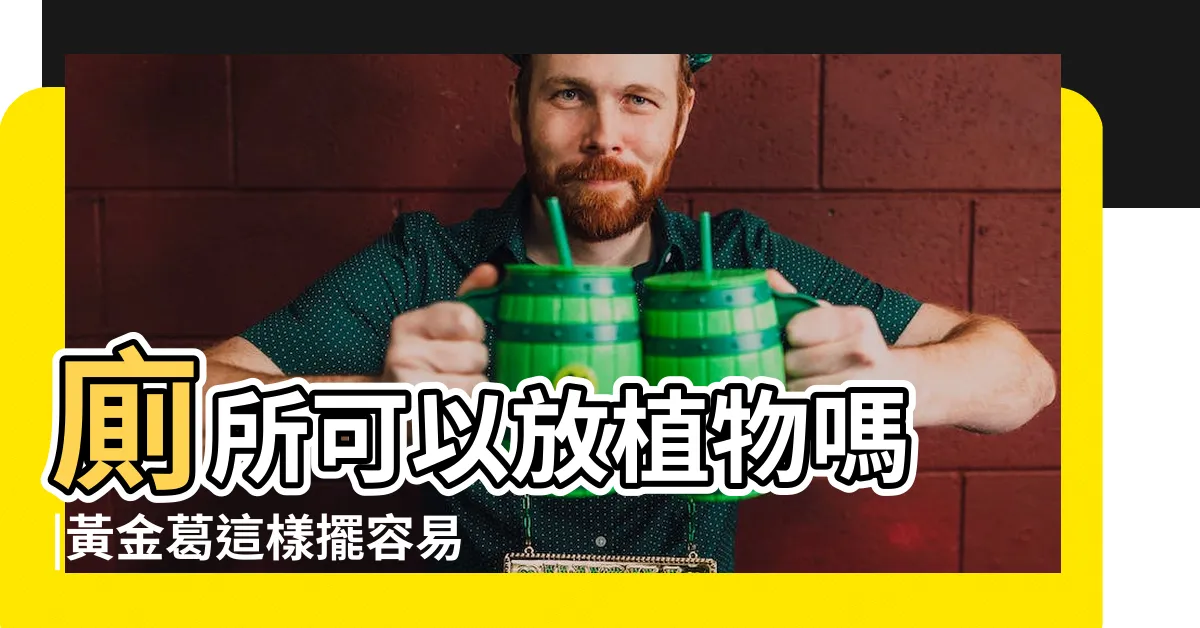 【黃金葛廁所風水】廁所可以放植物嗎 |黃金葛這樣擺容易官司纏身 |廁所可以放植物嗎 |