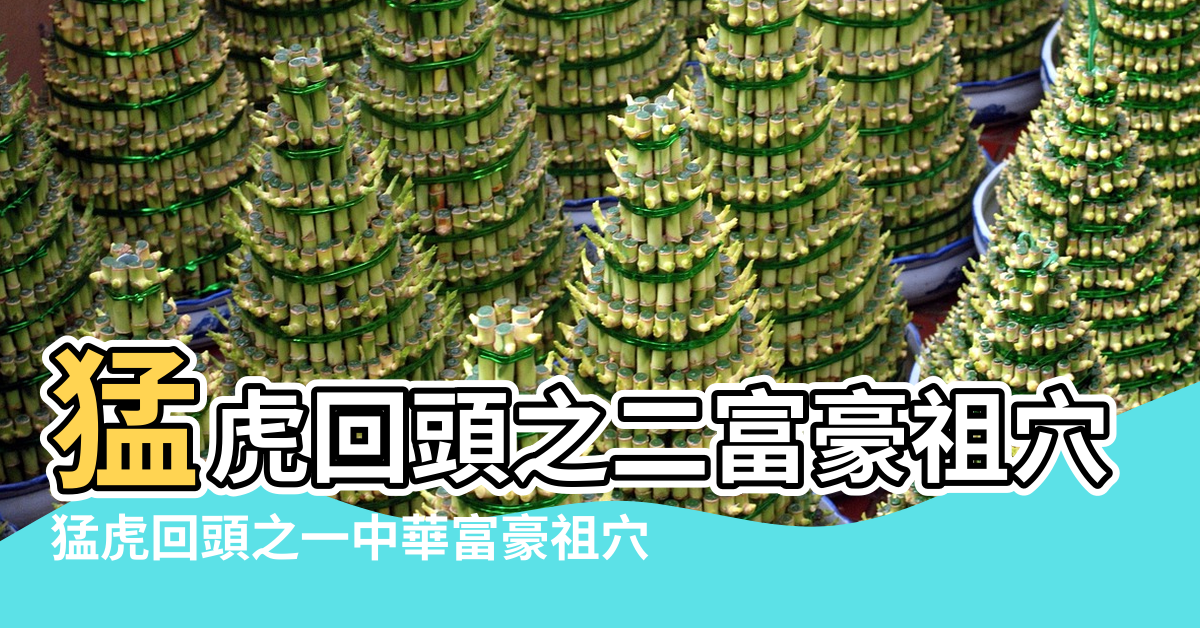 【梅州風水猛虎回頭】猛虎回頭之二富豪祖穴 |猛虎回頭之一中華富豪祖穴 |猛虎回頭之富豪祖穴風水淺析 |