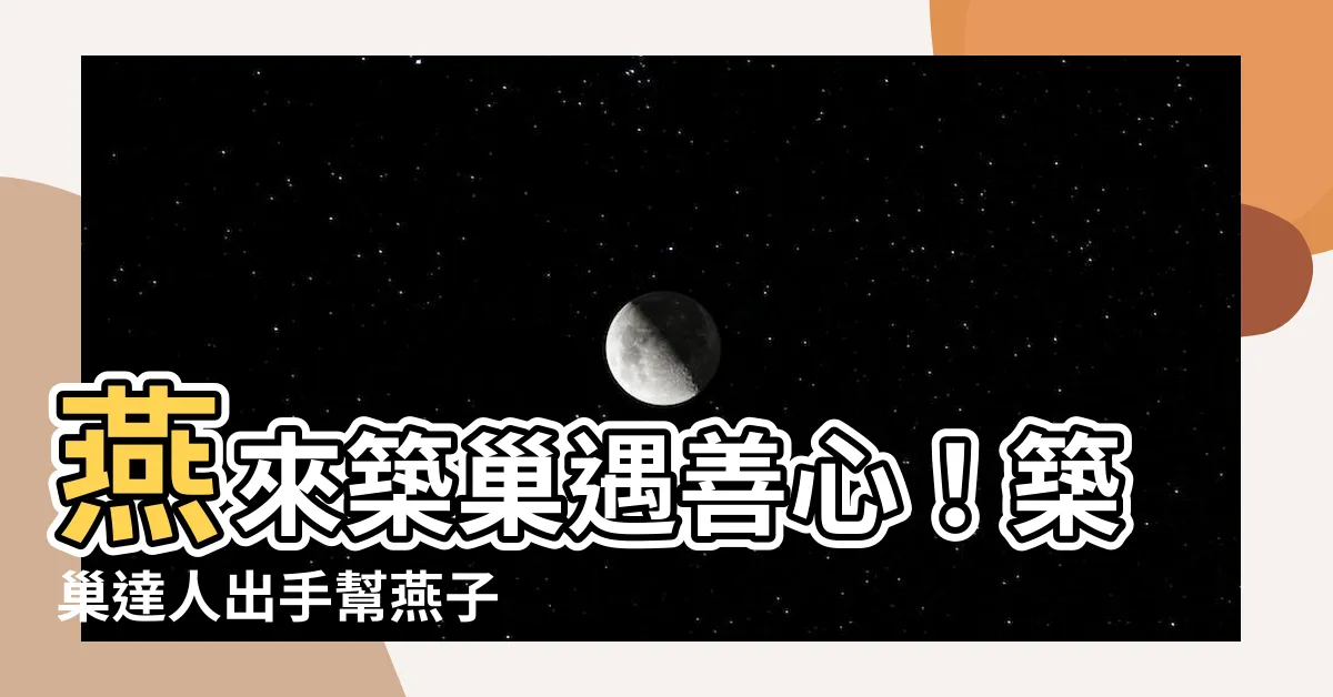 【幫燕子 築 巢】燕來築巢遇善心！築巢達人出手幫燕子 蓋新家
