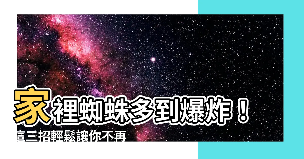 【蜘蛛多】家裡蜘蛛多到爆炸！這三招輕鬆讓你不再和蜘蛛當室友