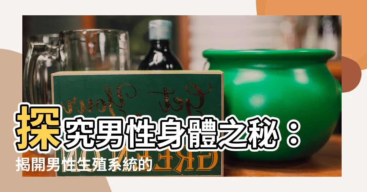 【男性生殖】探究男性身體之秘：揭開男性生殖系統的神秘面紗