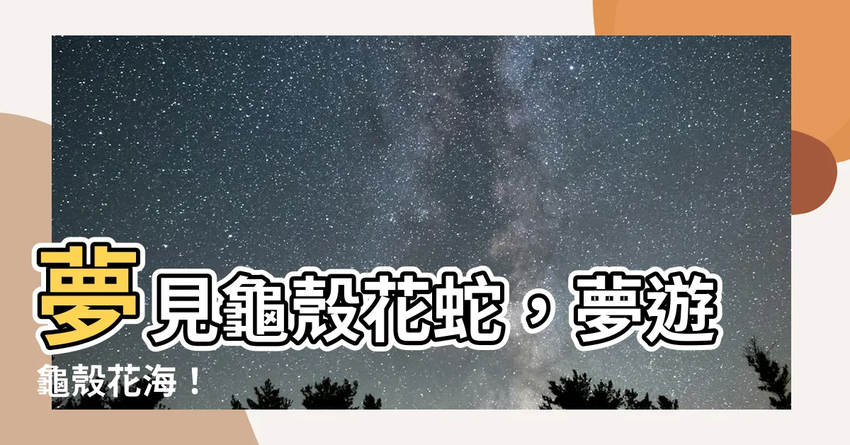 【夢到龜殼花】夢見龜殼花蛇，夢遊龜殼花海！