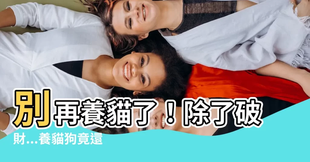 【養貓運勢】別再養貓了！除了破財...養貓狗竟還會招來這樣的災禍