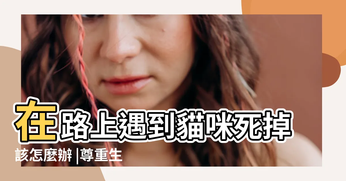 【貓咪死掉怎麼處理】在路上遇到貓咪死掉該怎麼辦 |尊重生命縣府推動街道犬貓遺體善終處理 |一通電話讓貓咪也能善終 |