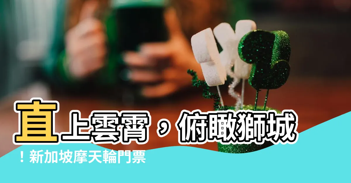 【星加坡摩天輪】直上雲霄,俯瞰獅城!新加坡摩天輪門票,開啟您的空中之旅