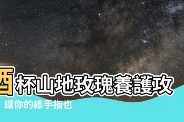 【酒杯山地玫瑰】酒杯山地玫瑰養護攻略：讓你的綠手指也能養出仙氣