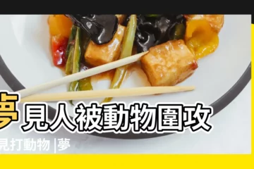 【夢見家人打野生動物】夢見人被動物圍攻 |夢見打動物 |夢見打動物 |