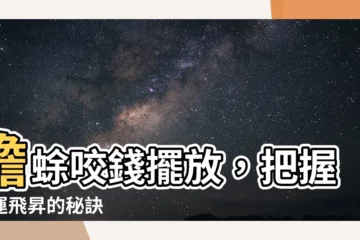 【蟾蜍咬錢擺放】蟾蜍咬錢擺放，把握財運飛昇的秘訣