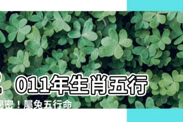 【2011年生肖五行】2011年生肖五行大揭密！屬兔五行命運全解析