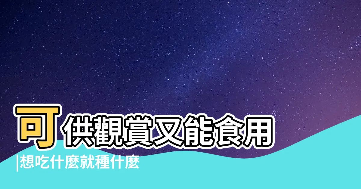 【陽台種植】可供觀賞又能食用 |想吃什麼就種什麼陽台就是我的開心農場 |陽台種菜怎麼做 |