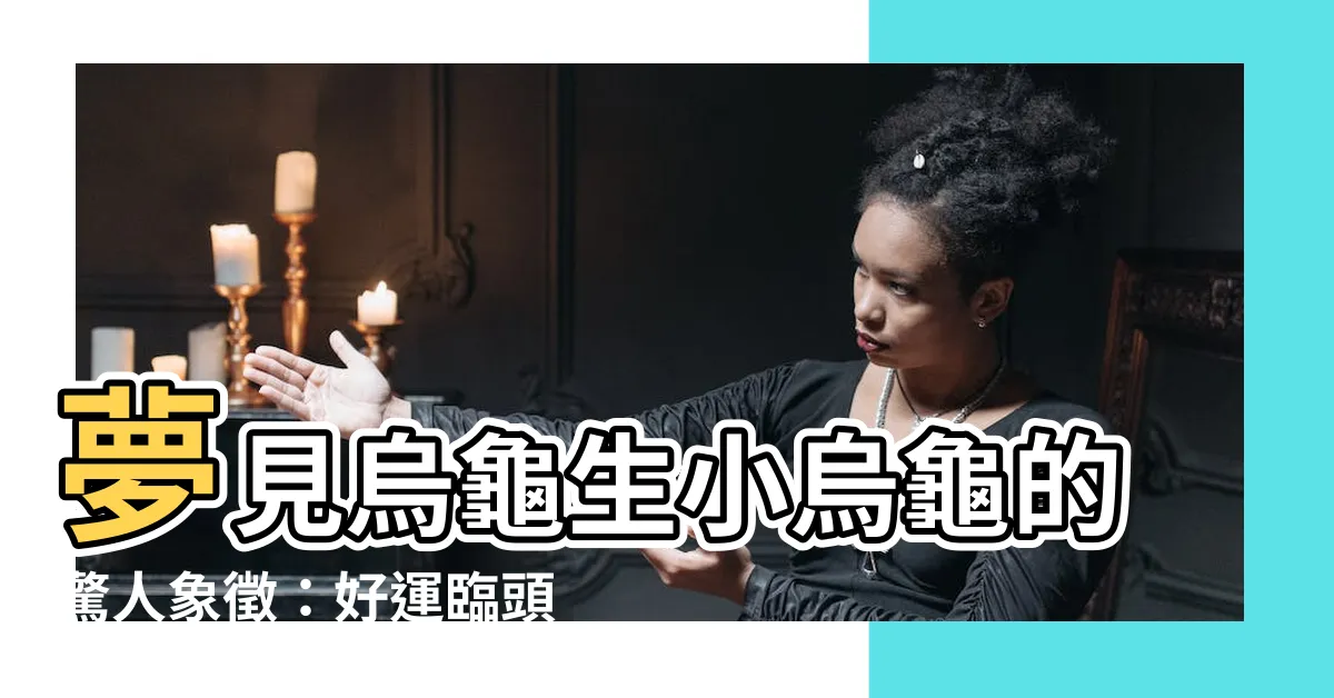【夢見烏龜生小烏龜】夢見烏龜生小烏龜的驚人象徵：好運臨頭，財富滾滾而來！