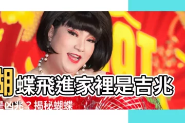 【蝴蝶進家 意思】蝴蝶飛進家裡是吉兆還是凶兆？揭秘蝴蝶進家的神秘寓意