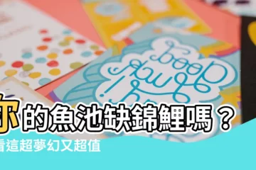 【錦鯉 鯉】你的魚池缺錦鯉嗎？看看這超夢幻又超值的多尾鯉！
