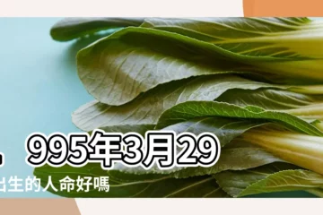 【1995年陰曆3月29女起名】1995年3月29日出生的人命好嗎 |是什麼命 |1995年3月29日戌時出生屬豬的女性八字算命 |