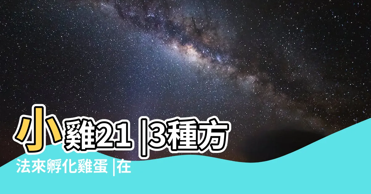 【孵蛋過程】小雞21 |3種方法來孵化雞蛋 |在家孵蛋 |