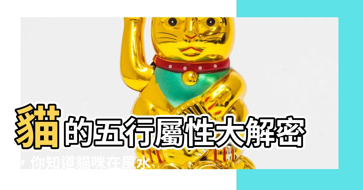 【貓的五行】貓的五行屬性大解密，你知道貓咪在風水上代表什麼嗎？