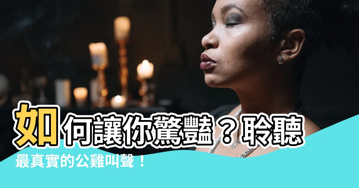 【公雞叫聲】如何讓你驚豔？聆聽最真實的公雞叫聲！