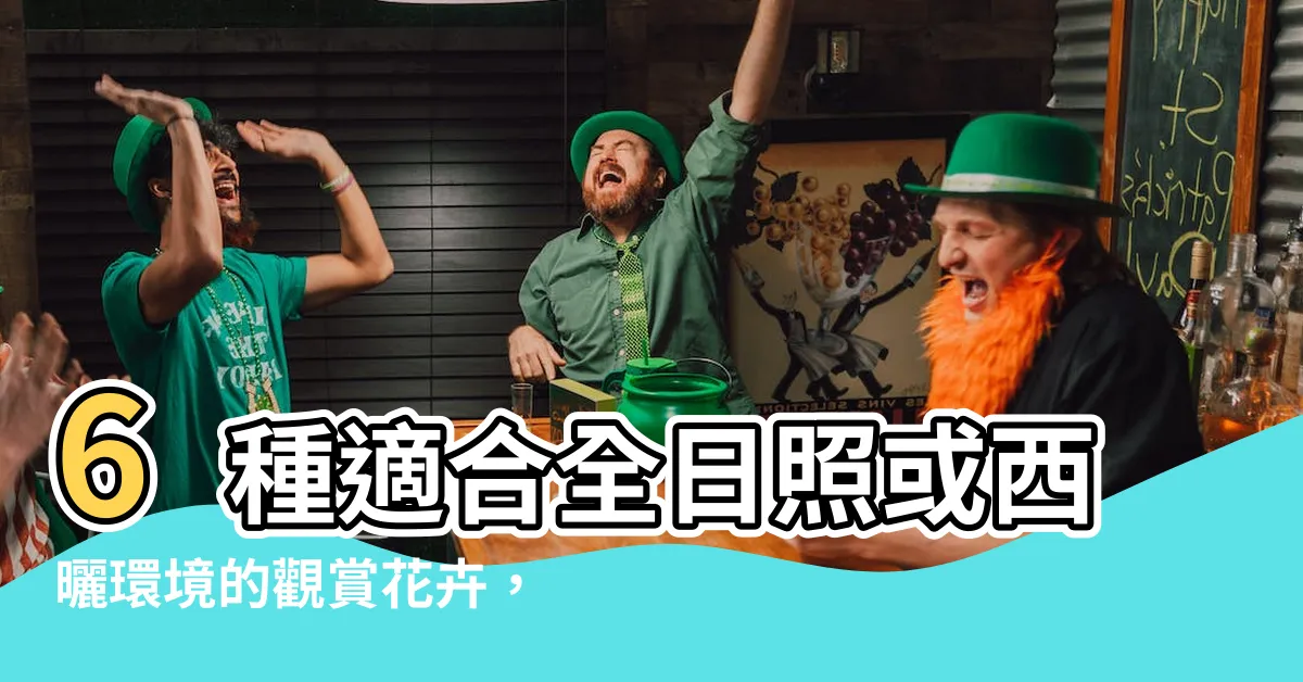 【全日照植物 西曬】6種適合全日照或西曬環境的觀賞花卉，曬得越狠，花朵越艷麗！