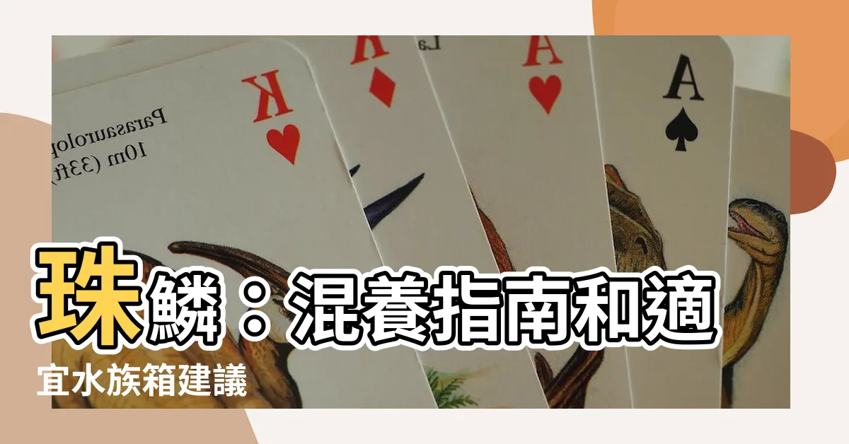 【珠鱗可以和什麼魚混養】珠鱗：混養指南和適宜水族箱建議