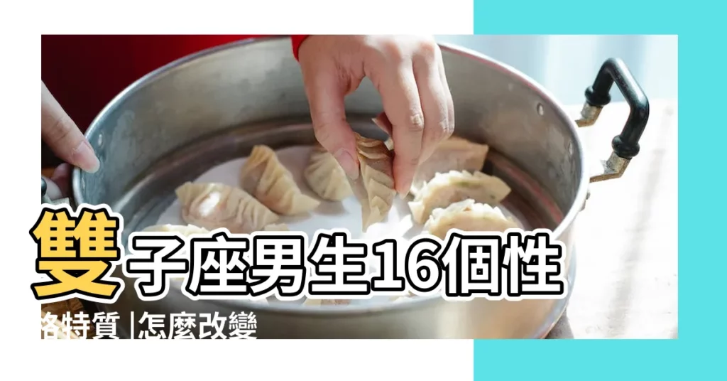 雙子座男生16個性格特質 |怎麼改變雙子座男生的性格 |如何捉住善變的他 |【雙子座男生怎麼改變性格】