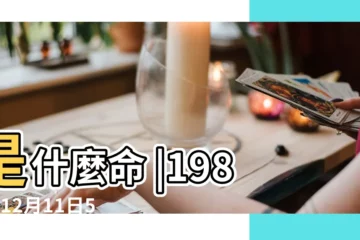 【陰曆1984 12.11】是什麼命 |1984年12月11日5點6點出生的生辰八字命運 |1984年12月11日出生的人的性格命運 |