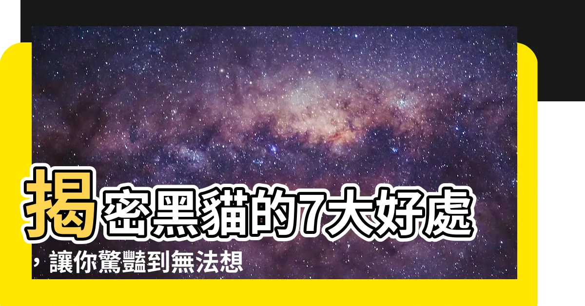 【黑貓好養嗎】揭密黑貓的7大好處，讓你驚豔到無法想像！黑貓好養嗎？