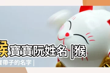 【猴寶寶阮姓名】猴寶寶阮姓名 |猴寶寶帶子的名字 |阮姓猴年女寶寶取名大全 |
