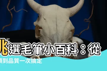 【四 毛筆】挑選毛筆小百科：從種類到品質一次搞定！
